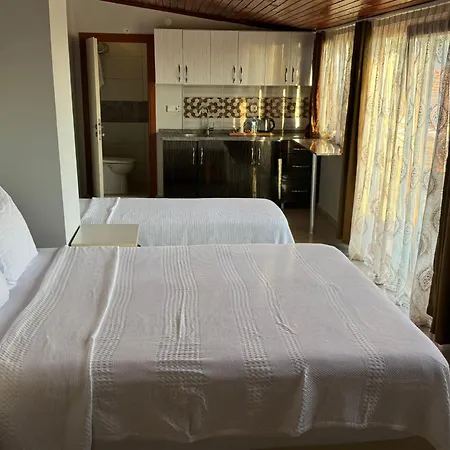 Hotel Varol *